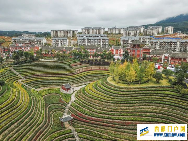 省委常委高配毕节意味着什么(图2) 省委常委高配毕节意味着什么(图2)