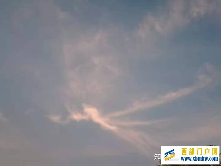 钦州建设广西工业强市,打造北部湾之星,推动广西经...(图11) 钦州建设广西工业强市,打造北部湾之星,推动广西经...(图11)