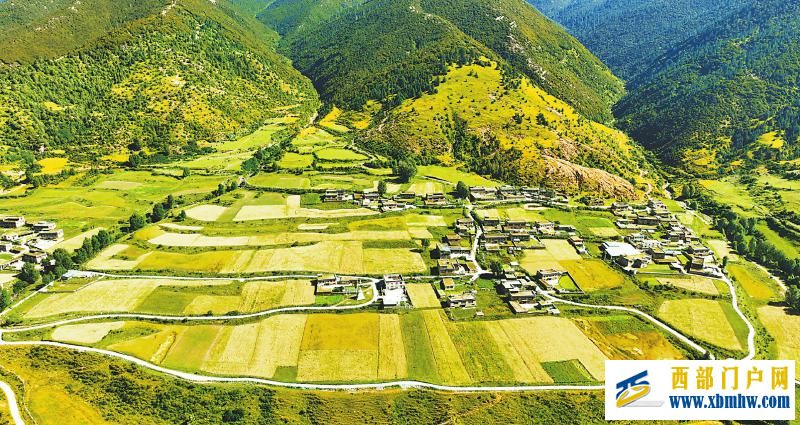 秋粮开镰好“丰”景 颗粒归仓抢农时(图4) 秋粮开镰好“丰”景 颗粒归仓抢农时「相关图片」
