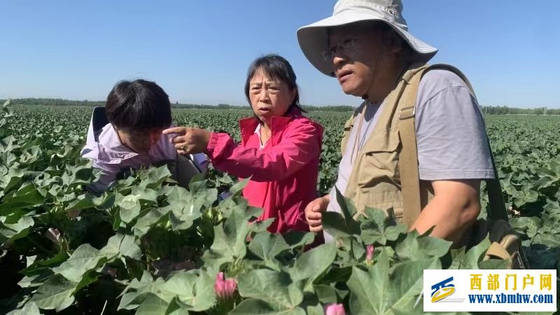 基地“一盘棋” 队伍“一张网” 西部中心聚力科技援疆(图1) 基地“一盘棋” 队伍“一张网” 西部中心聚力科技援疆(图1)