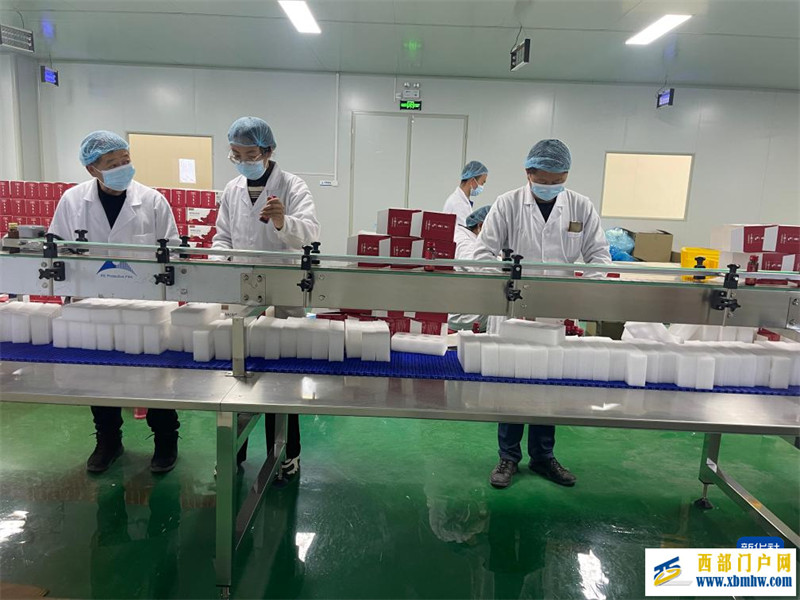 甘肃平川:“筑巢引凤”春来早 企业开工信心足(图2) 甘肃平川:“筑巢引凤”春来早 企业开工信心足(图2)