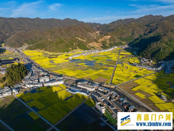 春花盛事,震撼巴山 | 2024最美油菜花海汉中旅游文化节镇巴分会场活动隆重举行(图18) 春花盛事,震撼巴山 | 2024最美油菜花海汉中旅游文化节镇巴分会场活动隆重举行(图18)