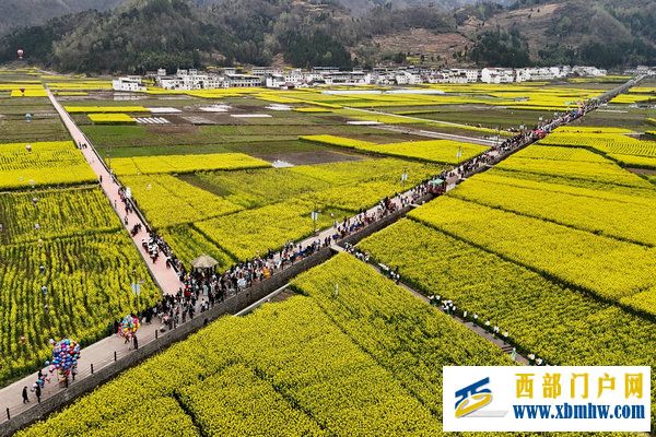 春花盛事,震撼巴山 | 2024最美油菜花海汉中旅游文化节镇巴分会场活动隆重举行(图22) 春花盛事,震撼巴山 | 2024最美油菜花海汉中旅游文化节镇巴分会场活动隆重举行(图22)