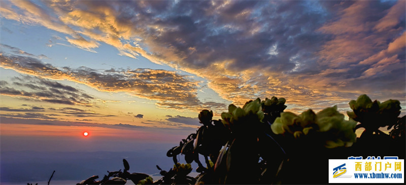 朝霞如锦杜鹃花作伴 共赏大理苍山顶峰美景(图1) 朝霞如锦杜鹃花作伴 共赏大理苍山顶峰美景(图1)