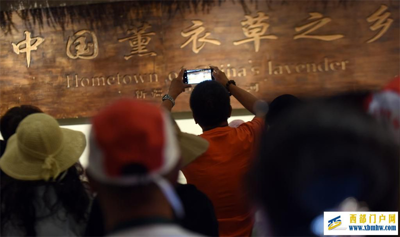 新疆霍城:薰衣草做成大产业(图4) 新疆霍城:薰衣草做成大产业(图4)