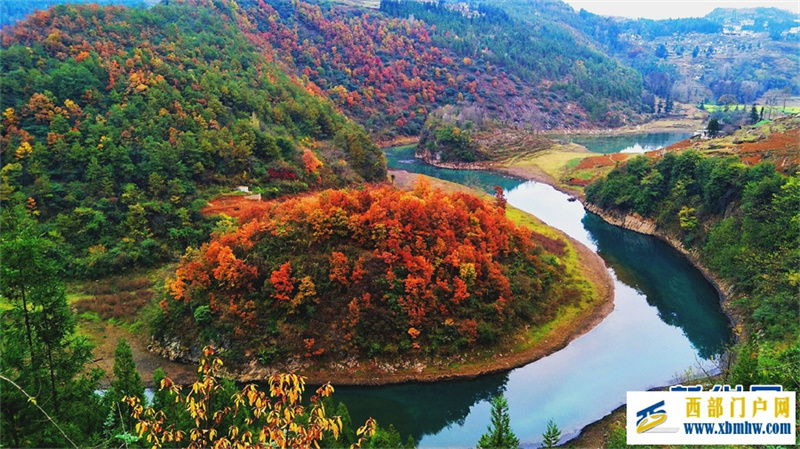 六盘水钟山区: 红叶满山 冬景如画(图5) 六盘水钟山区: 红叶满山 冬景如画(图5)