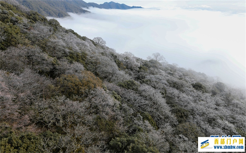 贵州梵净山:春日云海雾凇如画卷(图7) 贵州梵净山:春日云海雾凇如画卷(图7)