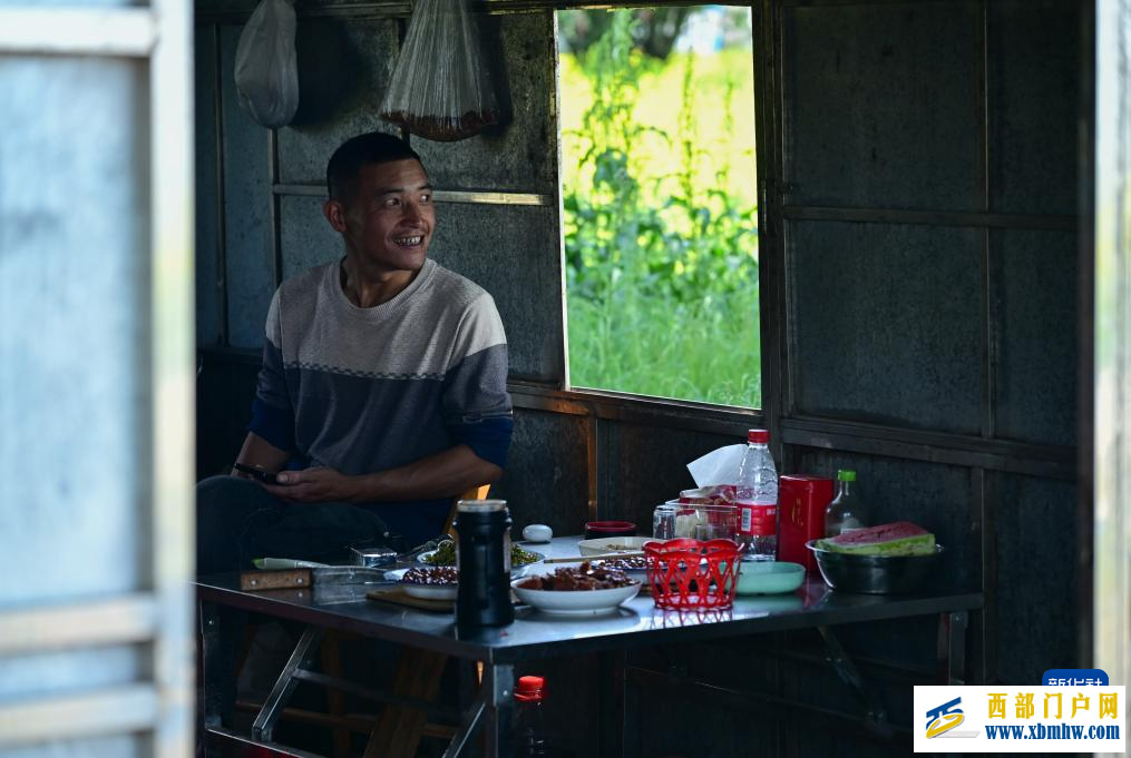 追花人家 甜在田间(图7) 追花人家 甜在田间(图7)