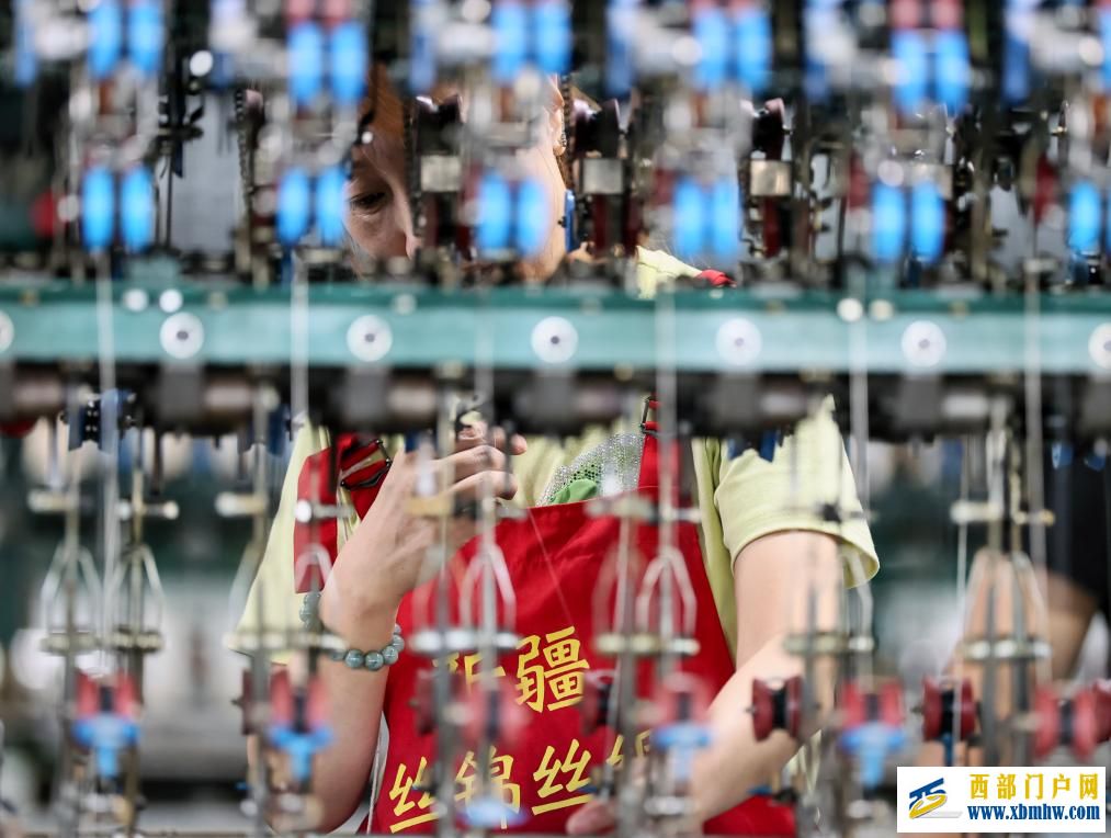 新疆乌苏:桑蚕茧产业拓宽乡村振兴新“丝”路(图5) 新疆乌苏:桑蚕茧产业拓宽乡村振兴新“丝”路(图5)