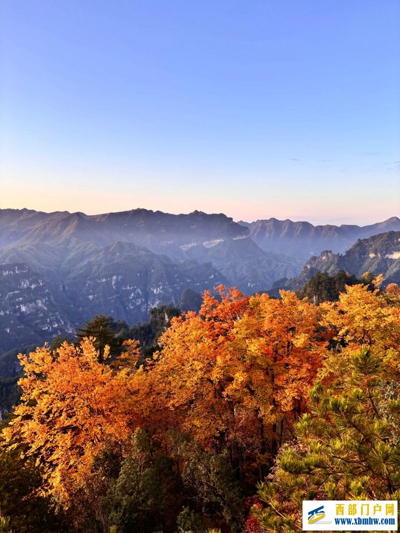 光雾山红叶最佳观赏期已至(图2)