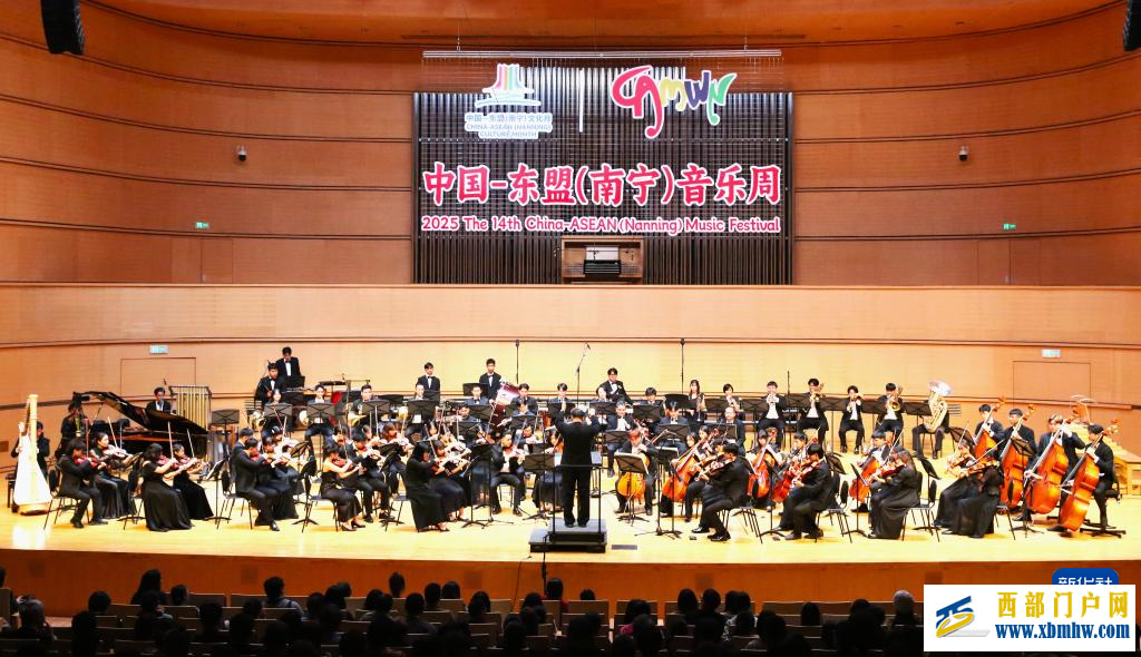 第三届中国—东盟（南宁）文化月活动在广西南宁精彩上演(图13)