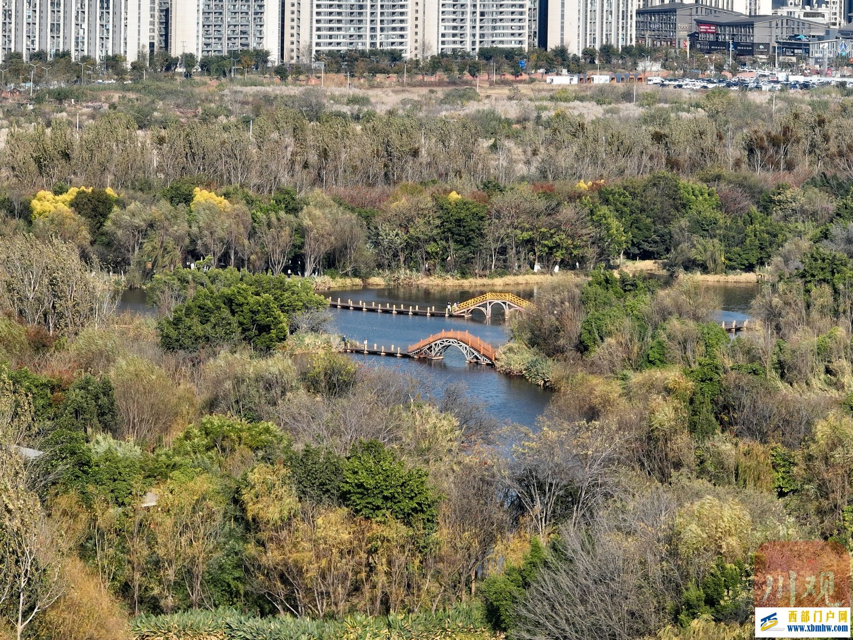 西昌邛海喊你来过“暖冬” 骑上单车闯入一片刺桐花海(图1) 西昌邛海喊你来过“暖冬” 骑上单车闯入一片刺桐花海(图1)
